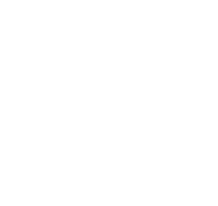 Doyles criminal lawyers logo 2019